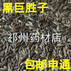 00大海中药饮片批发淘宝中药材新货黑巨胜子500克包邮 黑生菜子黑生