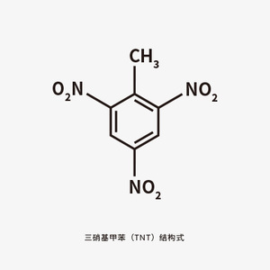 桃山tattoo脾气易爆tnt分子结构式防水文艺纹身贴贴纸