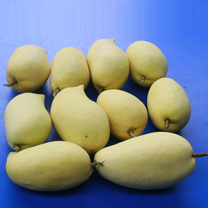 云南特产潞江坝保山鹰嘴芒芒果中大果8斤5斤整箱新鲜水果香甜多汁