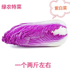 新鲜紫色大白菜紫白菜红白菜紫色包菜西餐蔬菜沙拉一颗1000克左右
