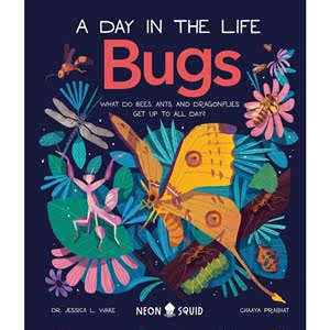 Bugs (A Day in the Life): What Do Bees, Ants, and Dragonflies Get up to All Day? Dr Jessica L. Ware 著 儿童读物原版书