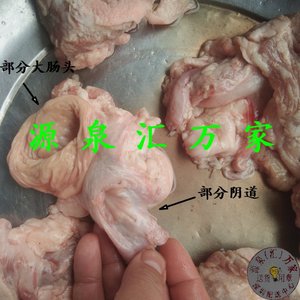 现杀新鲜母猪屁股猪逼屁眼外阴肛门直肠.大肠头阴道阴户