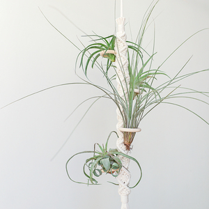 hyggeliving 空气凤梨吊挂空凤手编挂架空气植物悬挂底座垂吊架子