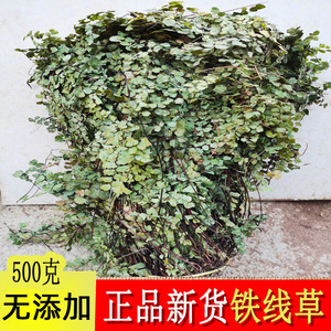 野生中药材猪鬃草 铁线草 水猪毛七 猪毛七 铁丝草 500g包邮