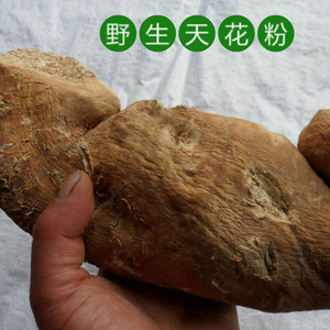 天花粉瓜蒌根太行山野生中药材多年生长这是一斤价格