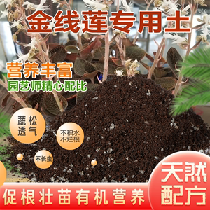 金线莲专用土金线莲营养土盆栽土养花通用种花土壤种植土有机肥料
