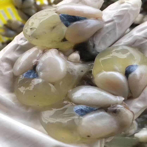 舟山东海野生目鱼蛋带膏新鲜微咸腌制特级水产大墨鱼籽乌贼卵500g