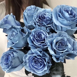 厄瓜多尔追梦冰雪皇后公主玫瑰鲜切花束广州同城速递情人节七夕用