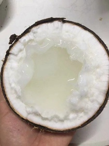 泰国糯米椰子椰子浓稠大果活动价298一个(现货)