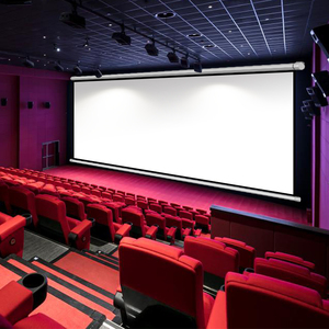 200寸移动室外露天露营电影布电影高清屏幕影子舞背景布234人付款194