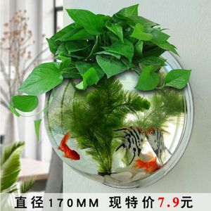 壁挂水培创意花盆挂壁挂墙花盆壁挂鱼缸墙上植物花盆墙面装饰花瓶