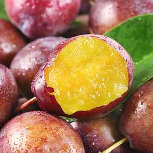 澳洲西梅新鲜孕妇水果当季脆甜李子胜智利进口鲜果5斤大西梅包邮