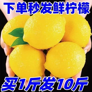 四川安岳黄柠檬新鲜无籽皮薄一级奶茶店专用香水柠檬青柠产地直发