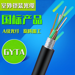 GYTA-24B1.3通信铠装国标光纤室外单模4/8/12/16/48/96芯管道光缆
