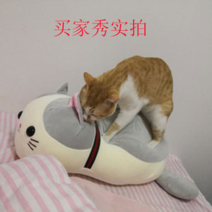 母猫咪性发泄玩具发情宠物伴侣用品宠物公母猫抚慰抱枕发情期通用