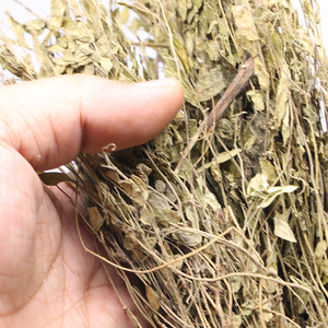 来马回野生瓜子金草干品乱马回辰砂草二月花惊风草野生中草药优质