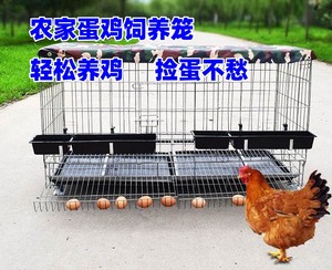 自动下蛋鸡笼网铁鸡舍设备  优质专用阶梯式养殖笼大号田鸡笼家用
