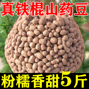 河北新鲜铁棍山药豆5斤装现摘铁杆山药粒小白嘴当季怀山蔬菜包邮