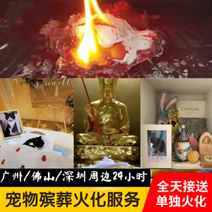 深圳宠物火化殡葬广州佛山猫咪火葬狗狗安乐动物墓地殡仪善终上门