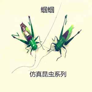 仿真蝈蝈