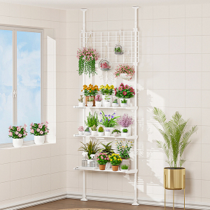 阳台顶天立地花架