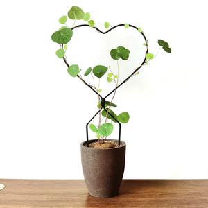 山乌龟绿植心形花架龟甲龙爬藤架绿萝攀爬架子桌面植物花卉造型架