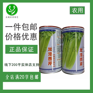 天津宏程双港西芹种子罐装80克 高产抗病美国文图拉芹菜 80g农用