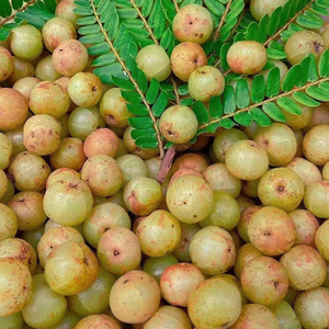 甜种油甘果新鲜现摘大果余甘果王牛甘子油柑回甘果滇橄榄孕妇水果