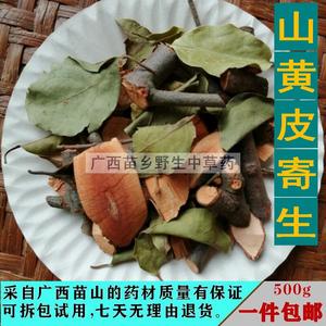 苗山野生山黄皮寄生 假黄皮寄生 野黄皮寄生 过山香寄生 干品500g