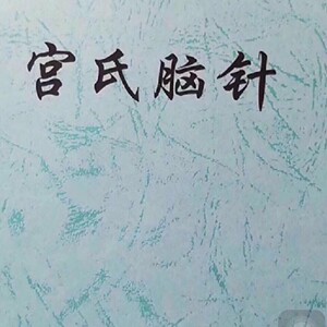 宫氏脑针