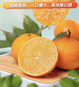 正宗象山红美人柑橘爱媛28号果冻橙 大棚种植更好吃 欢迎单位团购