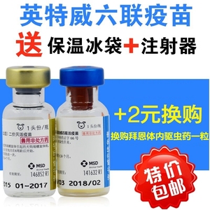 正品行货 进口英特威犬用6联六联钩端螺旋体苗宠物狗狗疫苗育苗