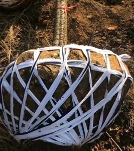 绑土球布带苗木移载捆土球软布条拉枝打包绳黑白杂色边料布条