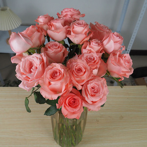 云南玫瑰鲜花基地直发顺丰速递办公室水养插花戴安娜卡罗拉玫瑰花