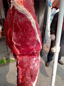 鲁西南黄牛肉的特色图片