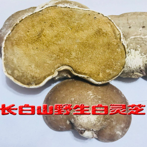 【白灵芝片】白灵芝片品牌,价格 - 阿里巴巴