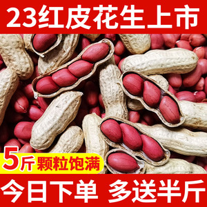 2023年新鲜红皮花生米小四粒红生花生果带壳晒干原味农家自种散装