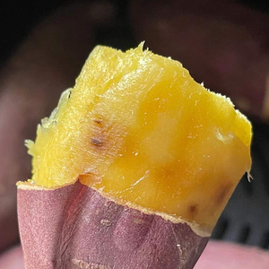 52度良作红薯中贵族粗粮生地瓜蜜薯香甜新鲜营养好吃番薯山芋
