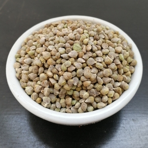 菠菜籽 菠菜子 菠菜籽 500克