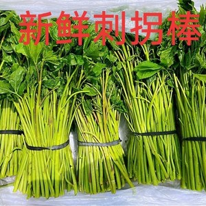 新鲜刺果棒东北野生刺拐棒山野菜刺五加菜一份丹东包邮新鲜菜