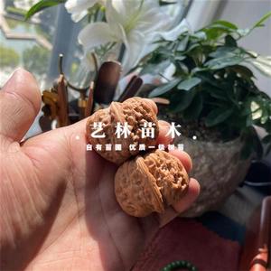 南方核桃树苗平谷元宝大粗筋原生麻核桃苗老品种种植北方庭院文玩