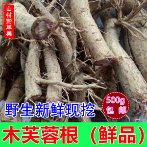 新鲜野生木芙蓉根500g包邮 现挖醉芙蓉花地芙蓉拒霜花树根 中药材