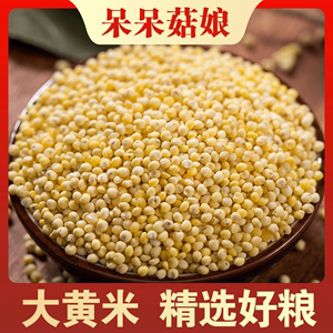 大黄米粘糯包粽子粟米新米软黄米糯小米粘豆包黄米黍米五谷杂粮