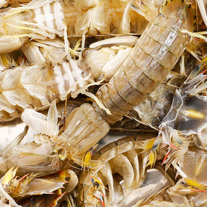 宠物活体皮皮虾-淘宝拼多多热销宠物活体皮皮虾货源拿货 - 阿里巴巴