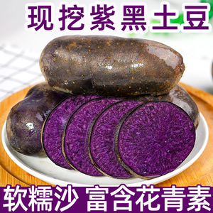 新鲜黑土豆黑金刚迷你小土豆新鲜紫色马铃薯5斤蔬菜洋芋包邮