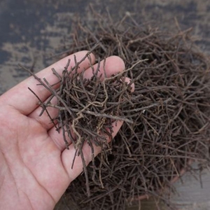 特级蛇木桫椤蛇木屑蛇木板高级透气兰花植料兰花附生石斛专用包邮