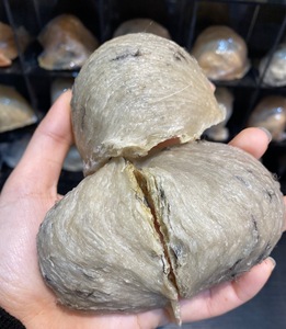 芽庄洞燕 会安洞燕 野生岛燕 孕妇燕窝 缺货中