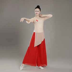 古典舞蹈服女中国舞舞韵瑜伽大码中国风舞蹈身韵纱衣飘逸练功服装