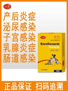 狗狗猫咪子宫蓄脓肠道尿路泌尿道感染犬猫用宠物恩诺沙星片消炎药