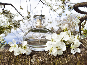 欧瑞莲 lucia bright aura女士喷雾香水50ml 花香持久清新33960